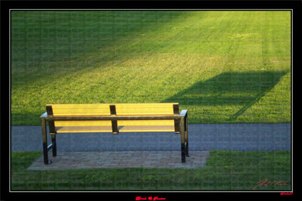 Bench Shadow